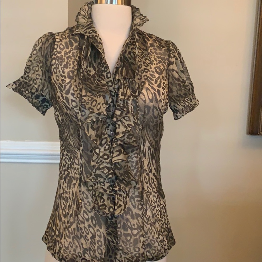 Beautiful Karlie sheer animal print top - Picture 1 of 6